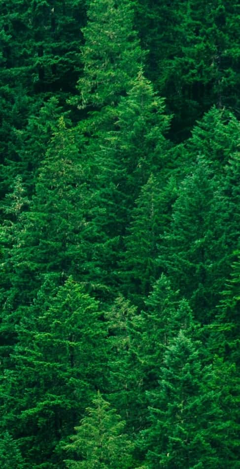 We've got you covered